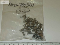 [1000-700541/500781] CMP, Speedfam, Screw, FHC 8-32 X 5/8 SST, Lot of 31