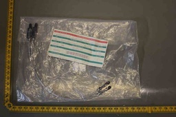 [E16008930/504070] Lightlink Assy, 74U Light Lin, Rev.H, Lot of 2