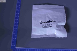 [SS-4-VCO-4/505823] 316 Stainless Steel Female Nut for 1/4 in. VCO O-Ring Face Seal Fitting, Lot of 8